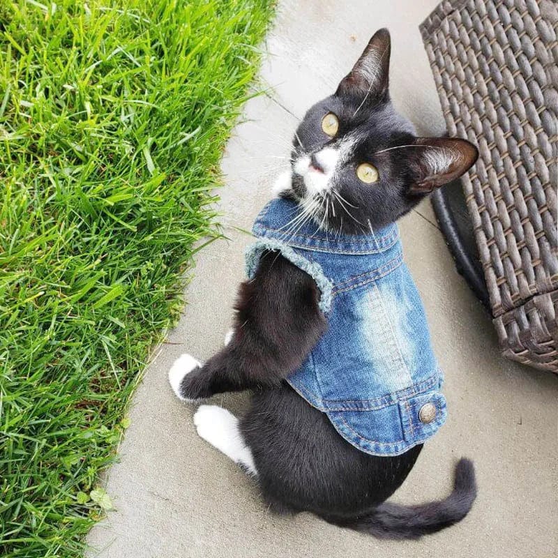 Snuffele Snouts Denim Vest Jacket Jeans Denim Vest Jacket Jeans