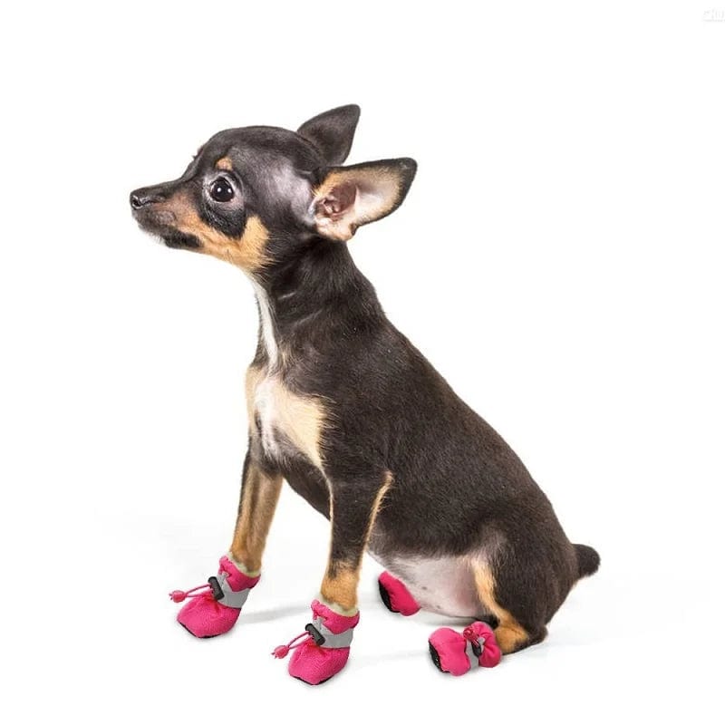 Snuffele Snouts Honden Schoenen Dog Shoes