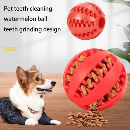 Snuffele Snouts Kauw / Tand Reinigings Bal Chewing / Tooth Cleaning Ball