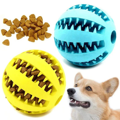 Snuffele Snouts Kauw / Tand Reinigings Bal Chewing / Tooth Cleaning Ball