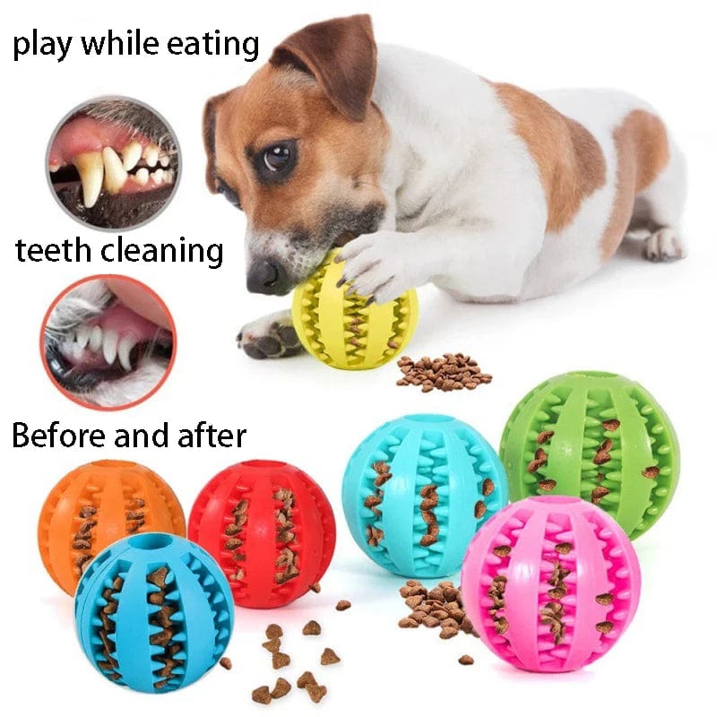 Snuffele Snouts Kauw / Tand Reinigings Bal Chewing / Tooth Cleaning Ball