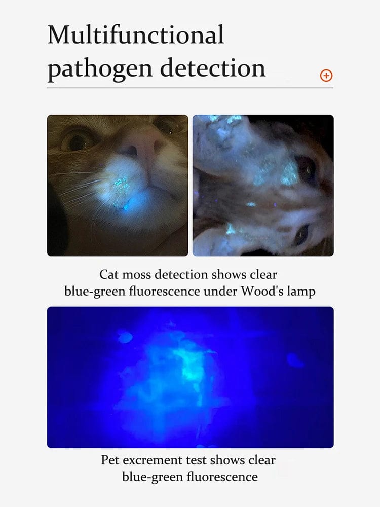 Snuffele Snouts Mos Detectie Detection Lamp Moss Detection