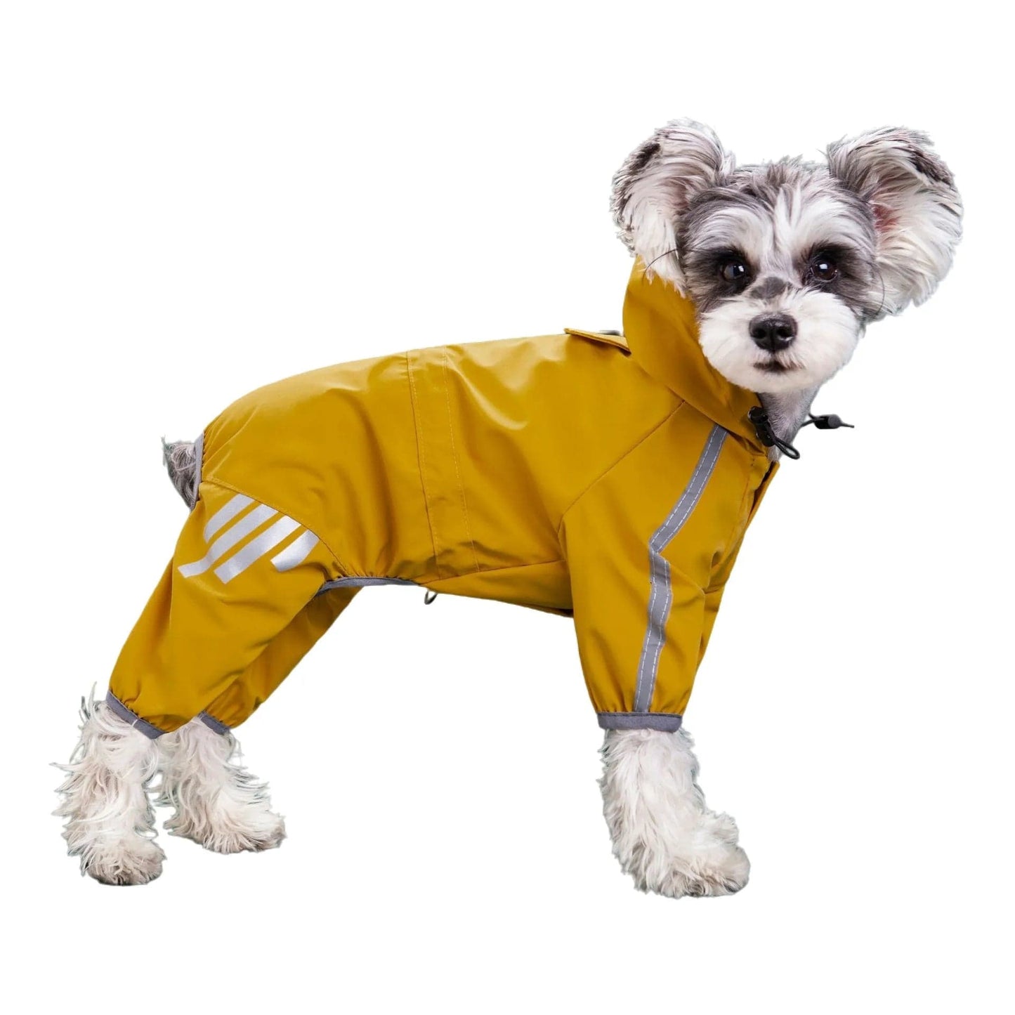 Snuffele Snouts Raincoat Yellow / S Rain Coat