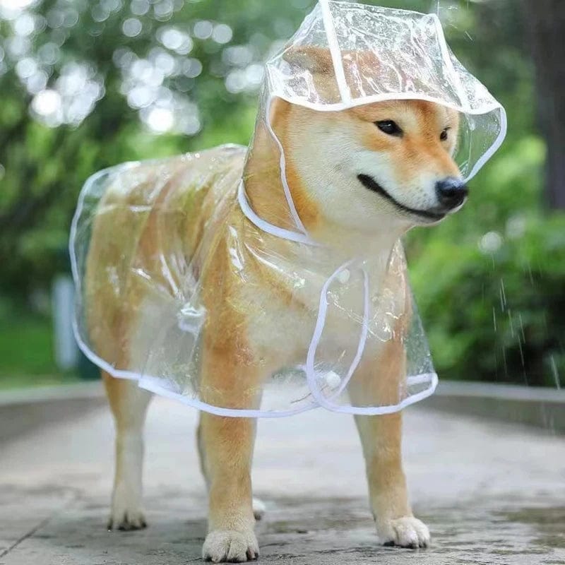 Snuffele Snouts Transparante RegenKleding Raincoat