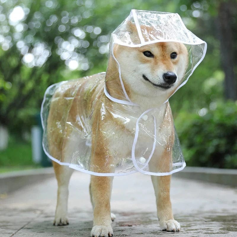 Snuffele Snouts Transparante RegenKleding Raincoat