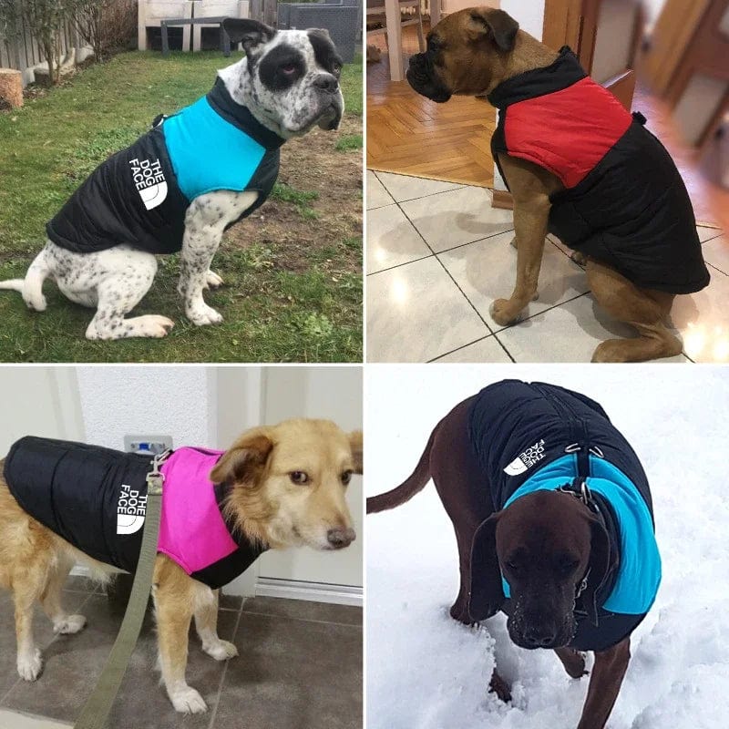 Snuffele Snouts Waterdichte Jas The Dog Face Waterproof Jacket The Dog Face