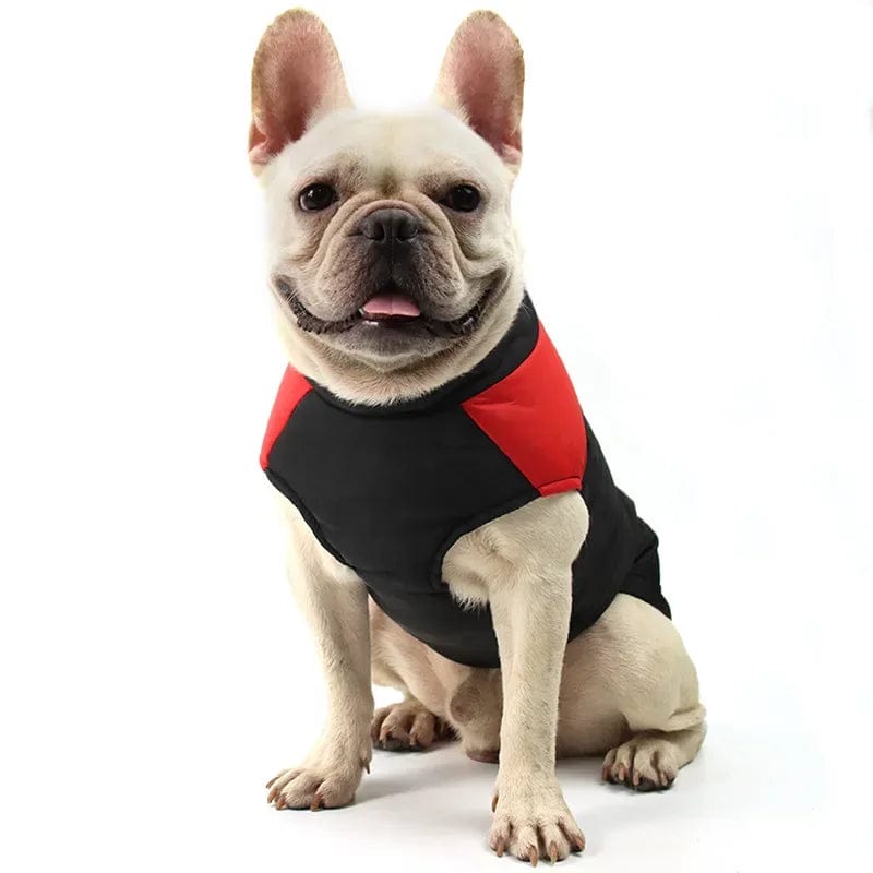 Snuffele Snouts Waterdichte Jas The Dog Face Waterproof Jacket The Dog Face