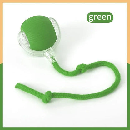 Snuffle Snouts Rope-Green A Interactive Ball